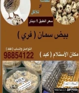 للبيع بيض فري