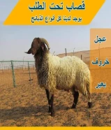 قصاب تحت الطلب ذبح وتوصل ال منزل