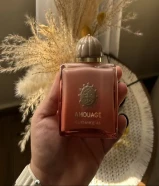 عطر جايدنس 48 استخدام بسيط التواصل واتس
