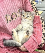 للتبني الام والبنت