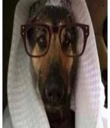 جلب عنده شركه على السوم