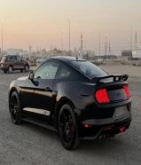 موستنج 2019 عداد 66 كم فقط 5.0