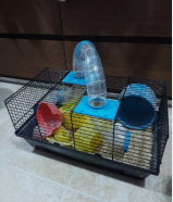 CAGE for hamster
