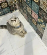 80 kdمع اغراضها