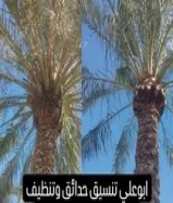 تنسيق حدائق وتنظيف وتكريب نخيل