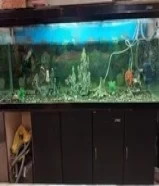 Used Aquarium