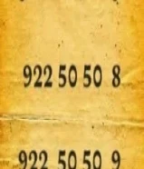 خطوط زين بلاتيني مميز