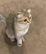 نثيه عمره سنه مطعمه متعوده على التر بوكس و الدياي و فود دراي