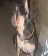 Calculate Your Loanفرينش بولدوق