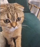 قطعه للبيع سبب البيع السفر خارج البلد