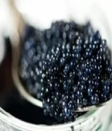 العسل الابيض النادر وجميع انواع الكافيار