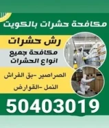 شركة رش صراصير مواد امنه صحيا