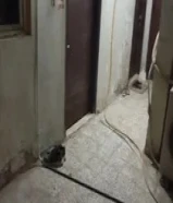 مطلوب شخص لمشاركة سكن يحب النظافه مصرى استديوا مفروش جزيا