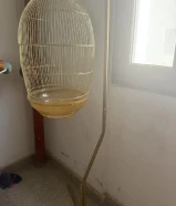 قفص نضيف للبيع