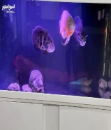 EHIEM AQUARIUM