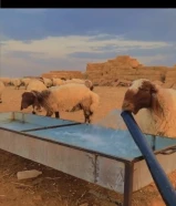 بيع وشراء جمله و مفرد