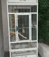 قفص شبهه الجديد مستخدم خفيف مع كامل اغراضه