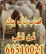 قصاب متنقل تحت الطلب +زبايح للبيع