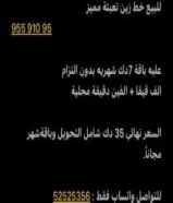 خط زين التفاصيل بالصورة