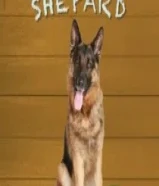 مطلوب جيرمن شولاين