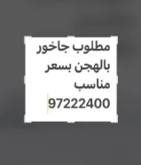 مطلوب جاخور بالهجن