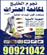 شركة مكافحة حشرات وقورض ارخص الاسعار مبيدات انجليزية والمانيه والعجينه الاصليه كفاله سنه مكافحة صراص