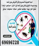 مكافحه حشرات كفاله سنه ٢٤ ساعه