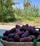 تمور حاجي آباد الأصلية