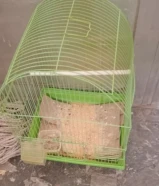قفص عصفير بحالي جديده استعمال خفيف