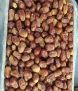 Iranian dates