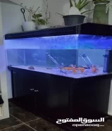 Aquarium for Sale