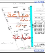 للبيع مزرعه بالوفرة 11 الف طريق 400 بيها كهرباء ومياه