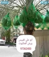 5 دينارتنسيق حدائق97362400