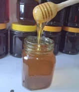 العسل العلاجي والعلاجي من أفضل جبال وحدائق إيران، من الإنتاج إلى الاستهلاك بكميات وأوزان كبيرة، بالج