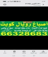 ایرانی)اصباغ وترمیمات عازل چتاروف