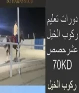 مربط بو حواس للفروسية دورات تعليم ركوب الخيل