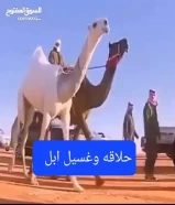 حلاق وغسيل ايل