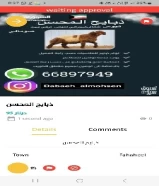 230 KWDللبيع مطافيل مرسسه