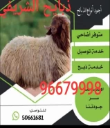 ذبايح الشريفي اضاحي وذبايح للبيع 506616٨١