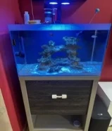 Marine/saltwater aquarium