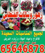 زهور ونباتات الفنطاس للأفراح والمناسبات