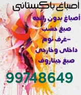 صباغ باکستانى