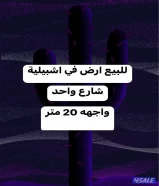 للبيع ارض في اشبيلية شارع واحد