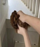 بودل تي كب مستوايات