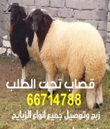 قصاب تحت الطلب الكويت