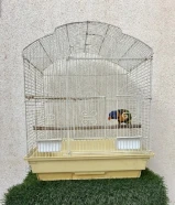 لوري شرط الربوه هدد تناديه يجيك شرط