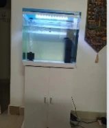 حوض سمك زينة مع اغراضه