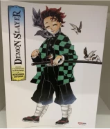 Demon slayer art book *french edition*