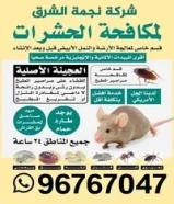 مكافحة جميع الحشرات والقوارض