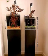aquascape tanks, aquarium, deaign55